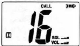 CALL JWCP 16 SOL VOL