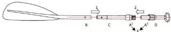 1 2 B C A¹ A² D 3