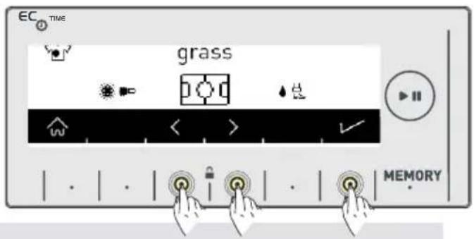 EC TIME gras MEMORY