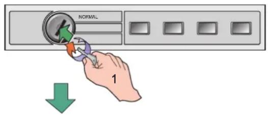 NORMAL 1