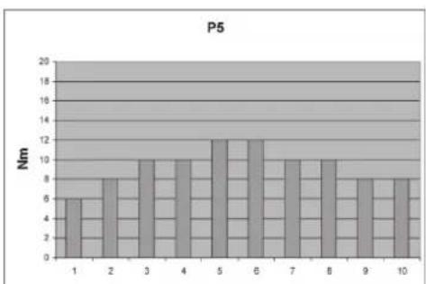 P5 | Category | Value (Nm) | |---|---| | 1 | 6 | | 2 | 8 | | 3 | 10 | | 4 | 10 | | 5 | 12 | | 6 | 12 | | 7 | 10 | | 8 | 10 | | 9 | 8 | | 10 | 8 |
