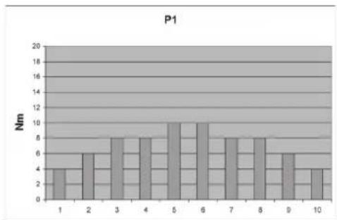 P1 | Category | Value (Nm) | |---|---| | 1 | 4 | | 2 | 6 | | 3 | 8 | | 4 | 8 | | 5 | 10 | | 6 | 10 | | 7 | 8 | | 8 | 8 | | 9 | 6 | | 10 | 4 |