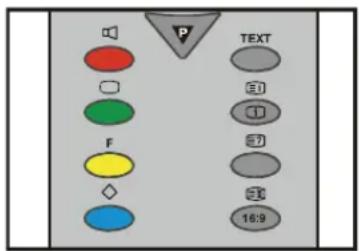 P TEXT F 16:9
