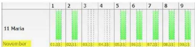 Safescan Time Attendance Workforce Planner - Rapporype - 4