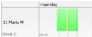 Safescan Time Attendance Workforce Planner - Rapporype - 3