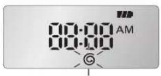 8:00 AM