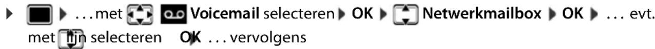 GIGASET S650 - Voicemail in-/uitschakelen, nummer invoeren - 1