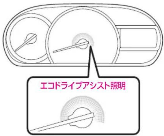 エコドライブアシスト照明