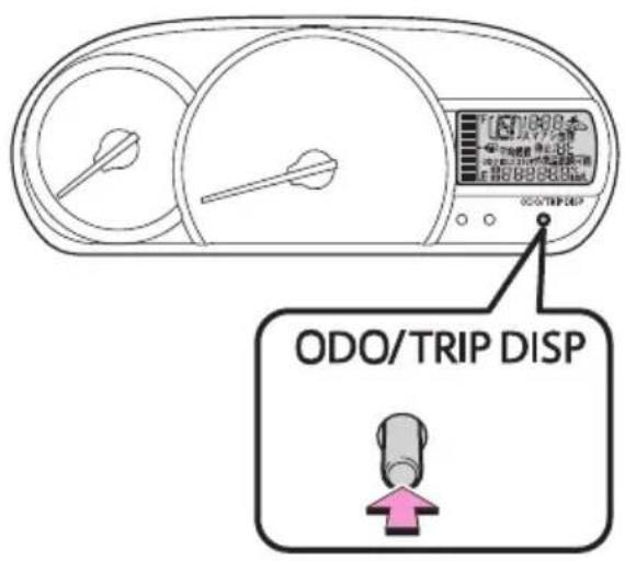 ODO/TRIP DISP
