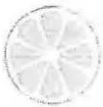 IPC DS 1210 M - 1