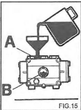 A B FIG.15