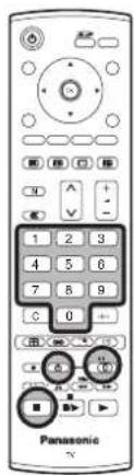 Panasonic