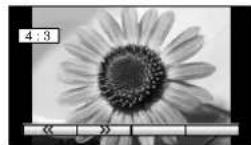 PANASONIC TH-50PV30H - 全方位扩大3 - 5