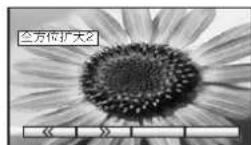 PANASONIC TH-50PV30H - 全方位扩大3 - 7