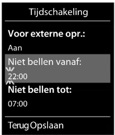 GIGASET C570 Duo - Tijdschakeling voor externe oproepen - 4