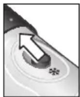 BOSCH Purple Passion PHA2204 - Borstels - 2