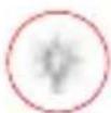 RING Spotlight Cam - Slimme waarschuwingen (Smart Alerts) - 5