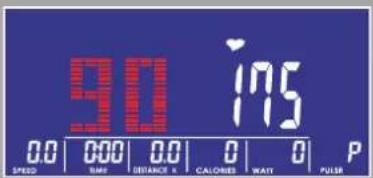 VirtuFit iConsole FDR 2.1 - Programma modus - 4