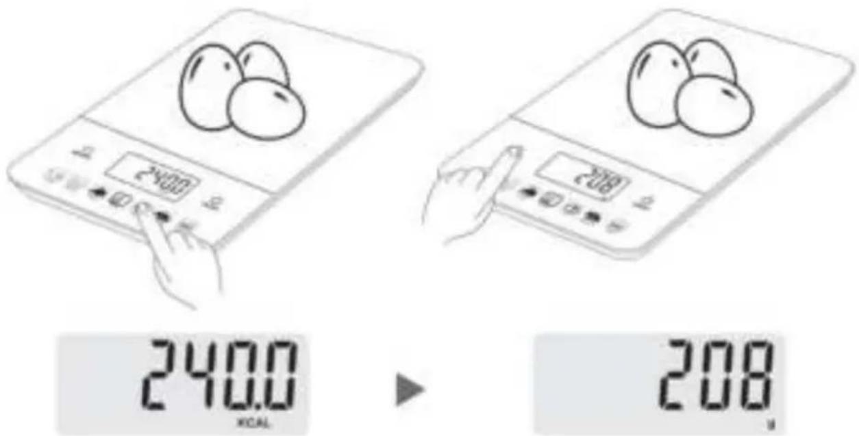 2400 208 240.0 KCAL 208
