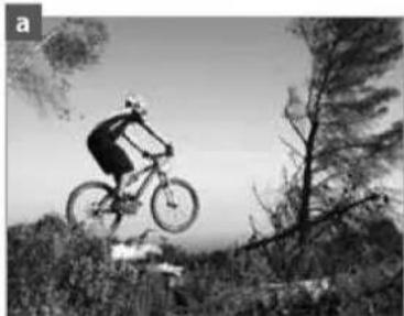 Sensa Livigno Limited - Categorie 8: Dirt- en freeride-bikes - 1