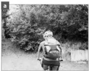 Sensa Livigno Limited - Bagage transporteren met een ongeveerd frame - 4