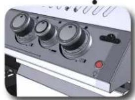 Napoleon Grills Prestige Pro 500 - Bewegingssensor: - 1