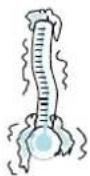 BAUKNECHT BMTMS 9145 PT - BEVROREN VOEDSEL: - 1