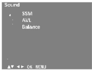 Geluid SSM AVL Balans OK Menu