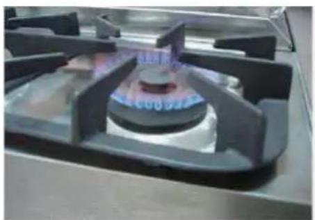 Thor TRH30P - Burner Grates - 1
