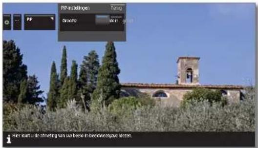 LOEWE Reference ID 55 - Formaat PIP-beeld instellen - 2
