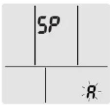SP R