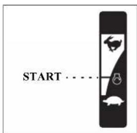 START . . . .