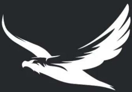 Silver Eagle M1 - Verbinden Android - 6