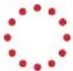 EVBox BusinessLine - LED-indicatorring - 7