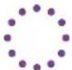 EVBox BusinessLine - LED-indicatorring - 8