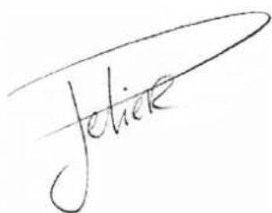 Jelier