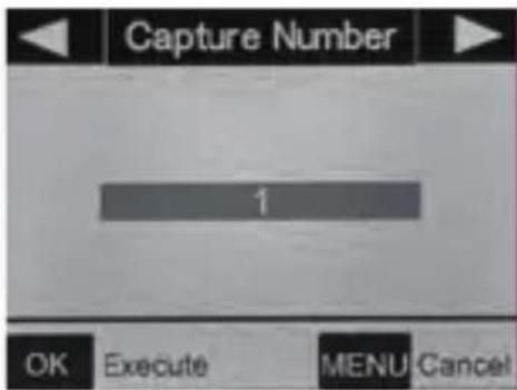 Capture Number 1 OK Execute MENU Cancel
