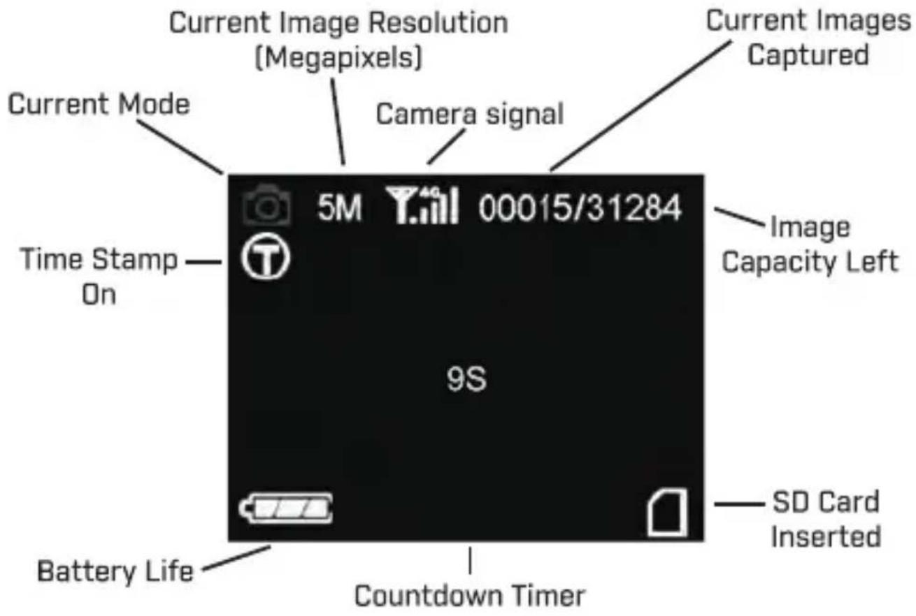 Current Image Resolution (Megapixels) Current Images Captured Current Mode Camera signal Time Stamp On 5M 00015/31284 Image Capacity Left 9S SD Card Inserted Battery Life Countdown Timer