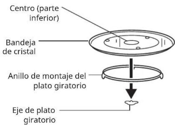 Centro (parte inferior) Bandeja de cristal Anillo de montaje del plato giratorio Eje de plato giratorio