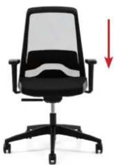 Interstuhl Velto EV256 - 13