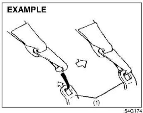 EXAMPLE (1) 54G174