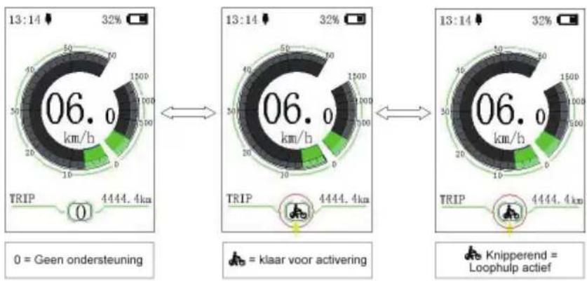 13:14 32% 06,0 km/u TRIP 0 4444,4 km 13:14 32% 06,0 km/u TRIP 0 4444,4 km 13:14 32% 06,0 km/u TRIP 0 4444,4 km Knipperend = Loophulp actief 0 = Geen ondersteuning = klaar voor activering