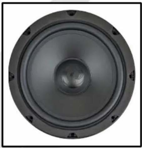 Close-up of a black speaker cone with concentric rings and mounting holes (no text or symbols visible)