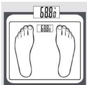 6.88 o 6.88 o