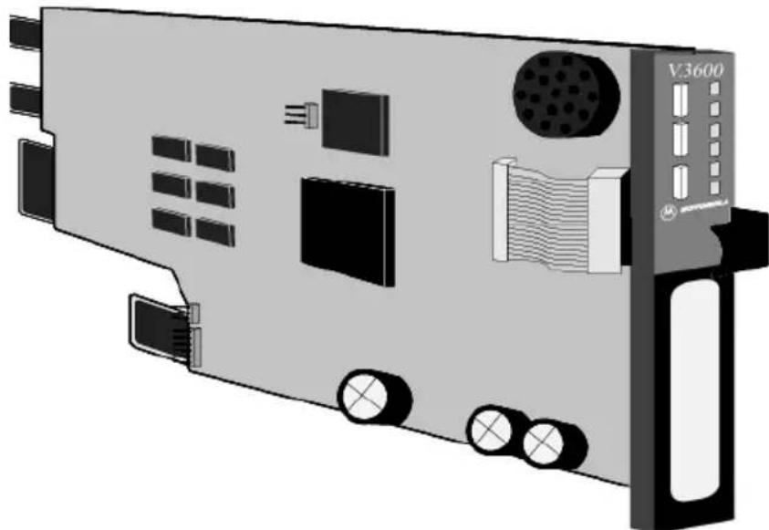 Black Box MD1000C - Modem 3600 Card - 1