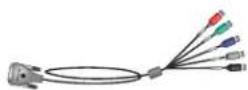 POLYCOM BNC Monitor Adapter Cable 2457-23533-001 - BNC Monitor Adapter Cable - 1