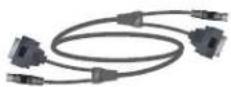 POLYCOM BNC Monitor Adapter Cable 2457-23533-001 - PowerCam Plus Primary Cable - 1