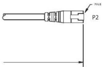 POLYCOM BNC Monitor Adapter Cable 2457-23533-001 - LAN Cable - 4