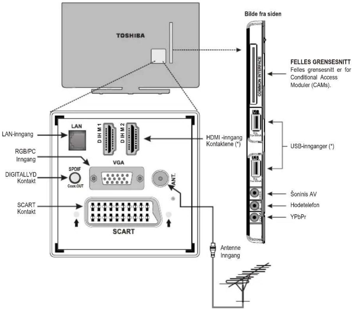 TOSHIBA 32W3453DN - Tilkobling av eksternt utstyr - 1