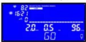 82 16:2 1 - 0 2.0 0.5 96 60